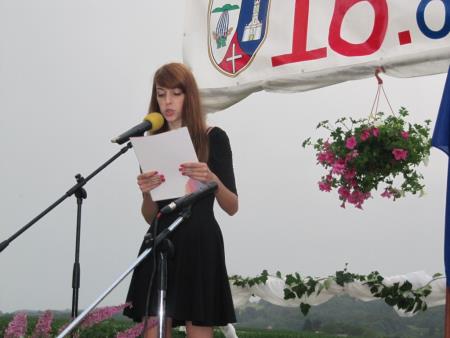 Slovesnost ob odhodu JLA iz SV Slovenije, 5.7.2014 na Gibini 4